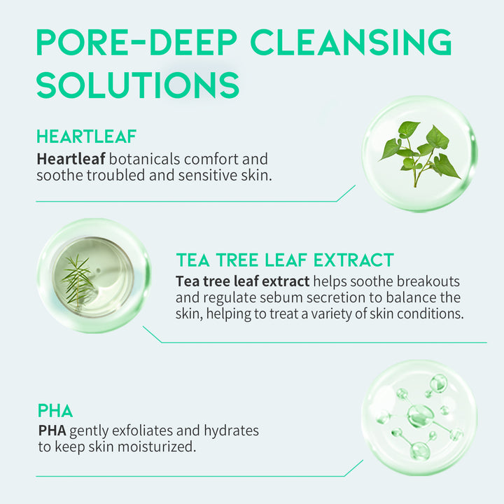 Heartleaf Pore Zero Cleanser